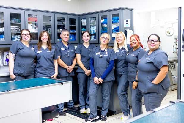 Images VCA Castle Hills Companion Animal Hospital