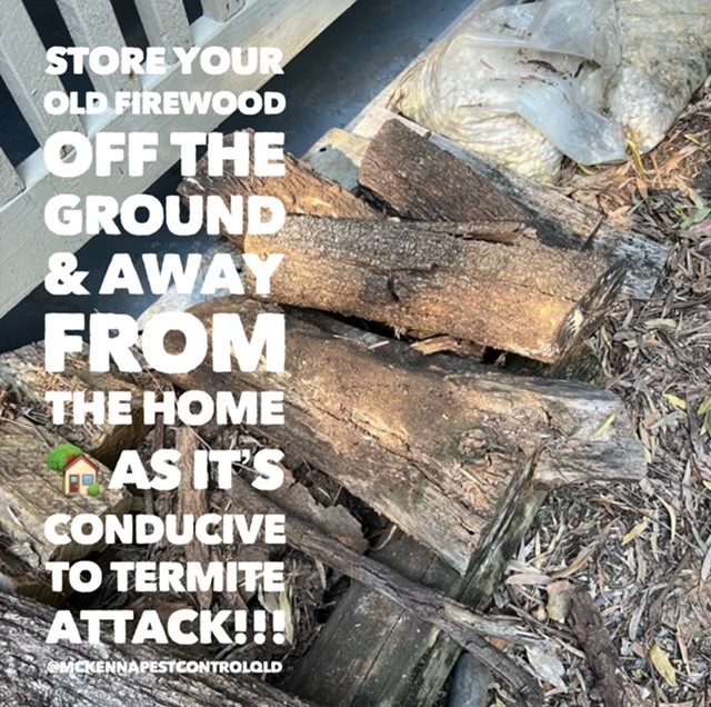 Images McKenna Pest Control (Qld) Pty Ltd