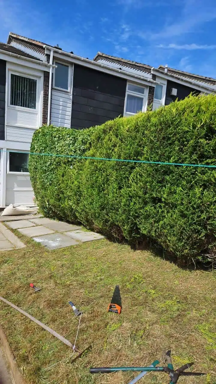 Images PG Garden Maintenance