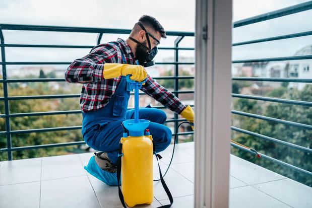 Images Arizona Termite, Pest and Weed  Lic #9297