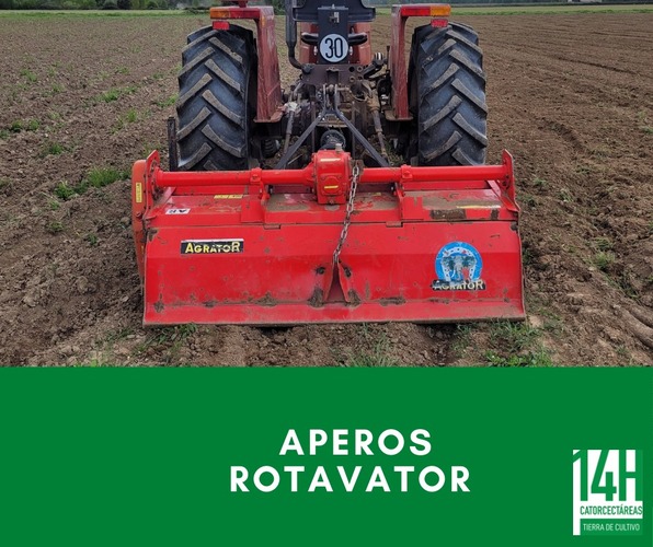 Images Catorcectáreas