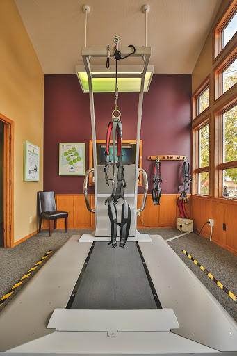 Images Element Physical Therapy