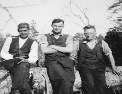 Shaw Tree Services 2