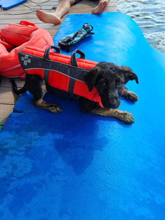 Images Marjorie Schaeffer - State Farm Insurance Agent