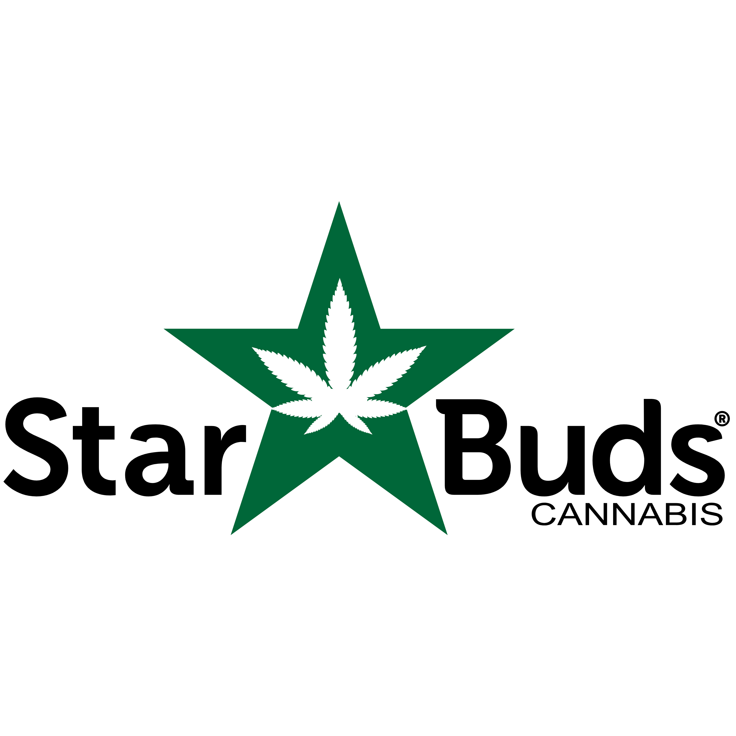 Star Buds Logo