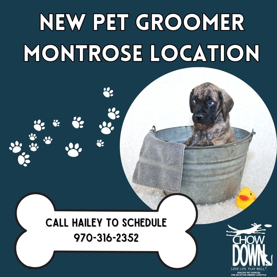 NEW GROOMER IN MONTROSE Chow Down Pet Supplies