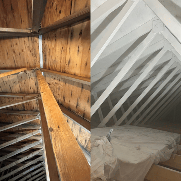 Images Quality Mold Remediation LLC