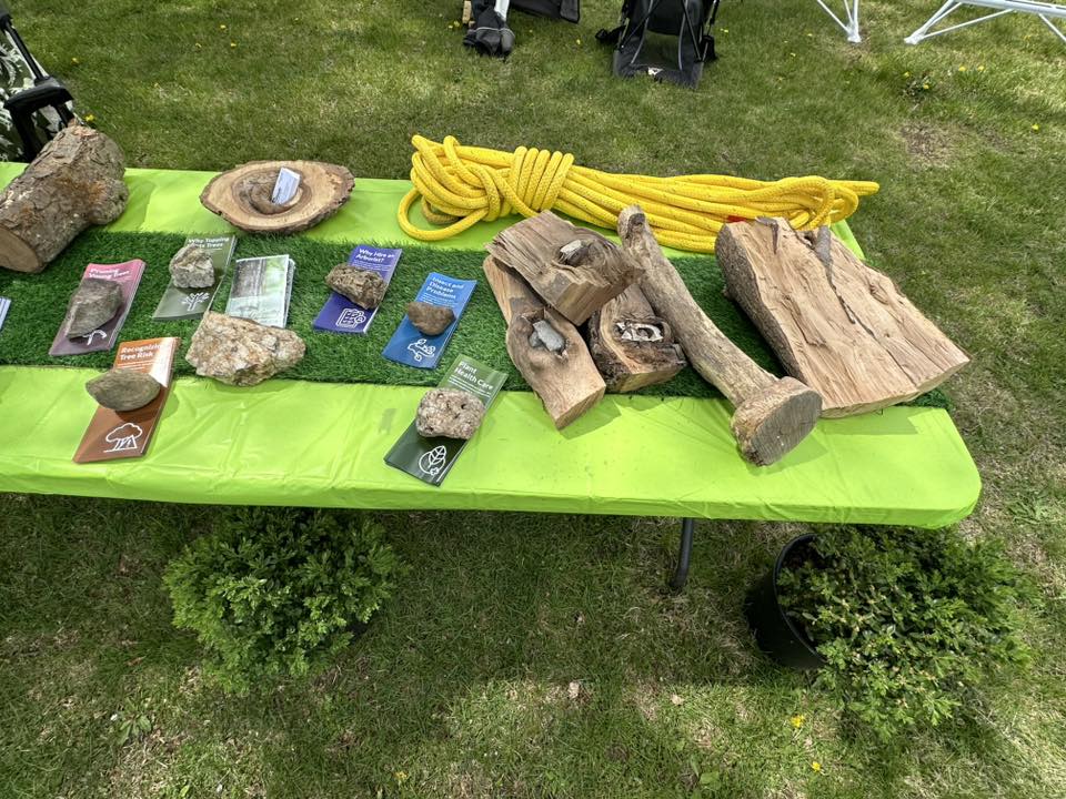 Friendly Tree Service Inc Image