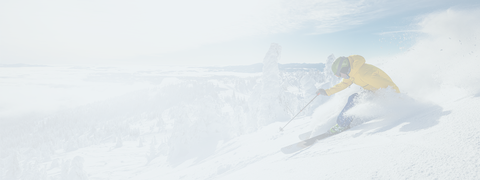 Action shot of someone downhill skiing with a picturesque alpine view.