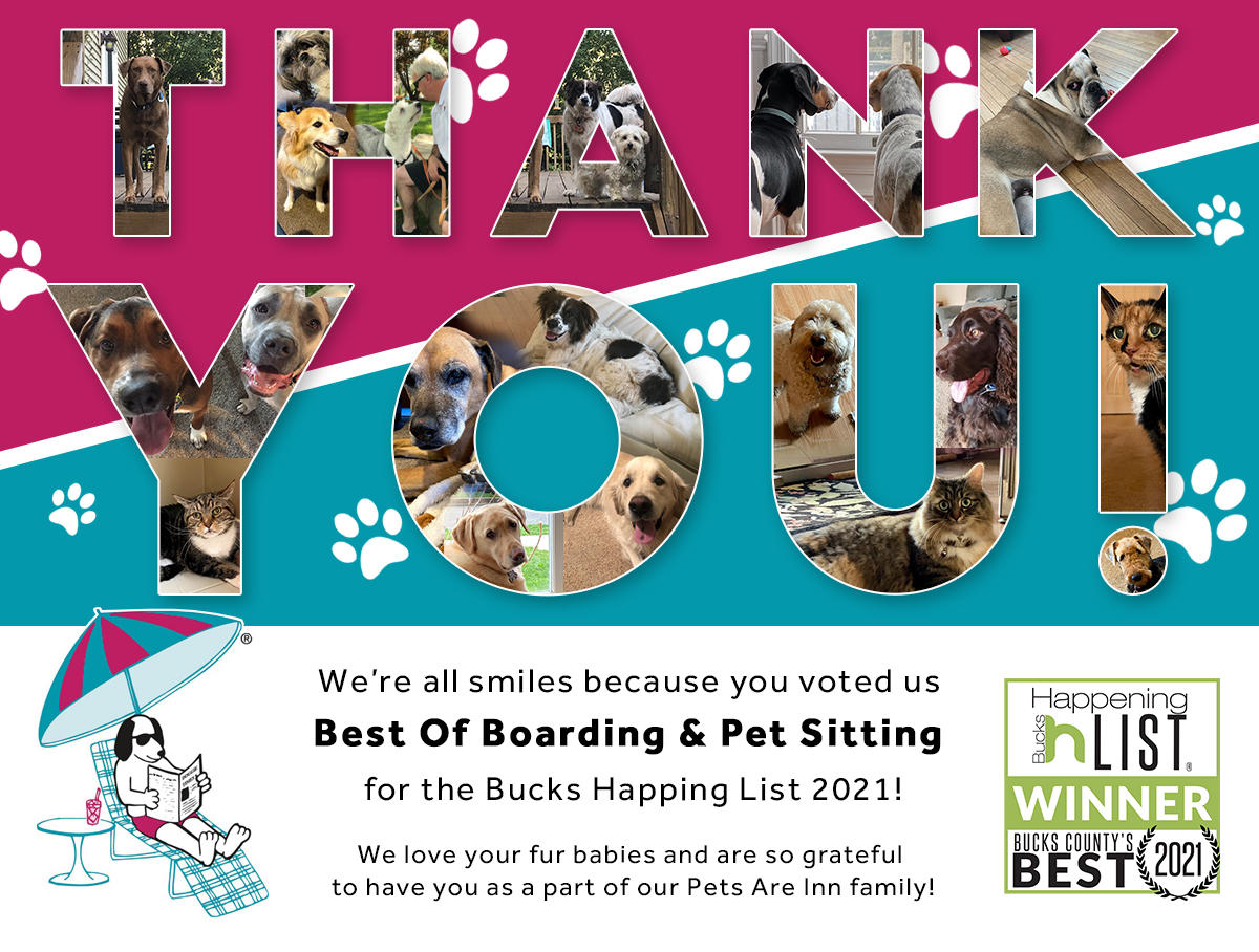 2021 Bucks Happening Winner for Best Boarding and Pet Sitting