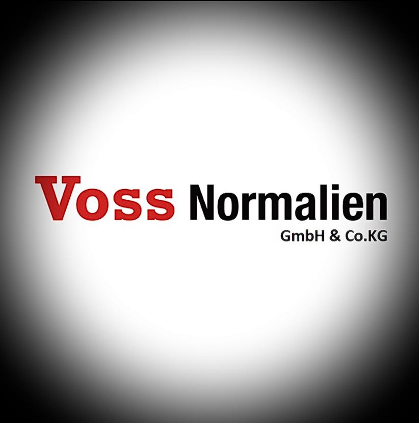 VOSS Normalien GmbH & Co. KG, Hansastrasse 20 in Lippstadt