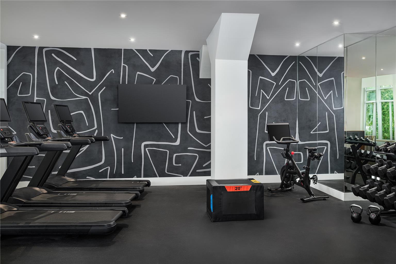 Health club  fitness center  gym