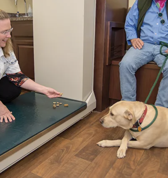 Images Oak Forest Veterinary Hospital