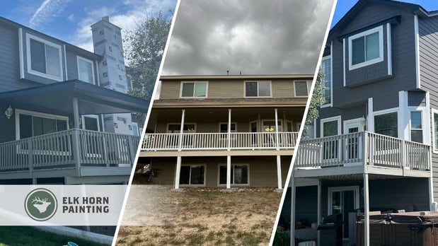 Images Elk Horn Painting - Denver