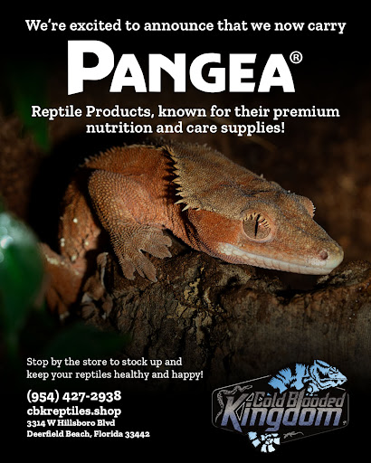 Images Cold Blooded Kingdom