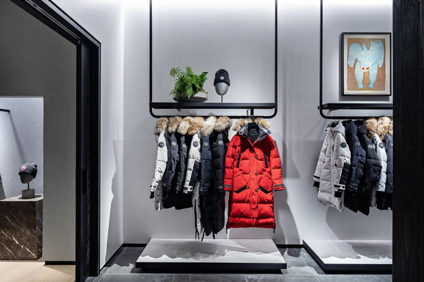 Images Canada Goose Minnesota