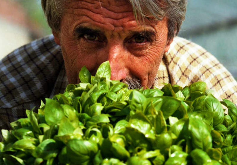 Images Fratelli Sacco