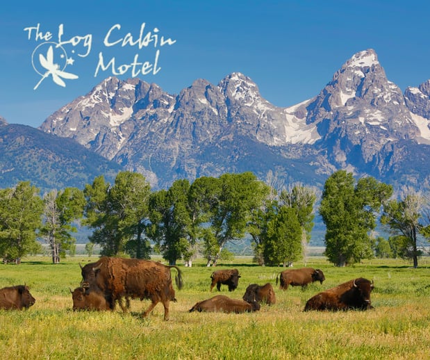 Images Log Cabin Motel