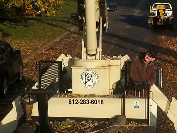 Images Curry Tree Service