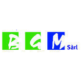 BGM Sàrl Logo