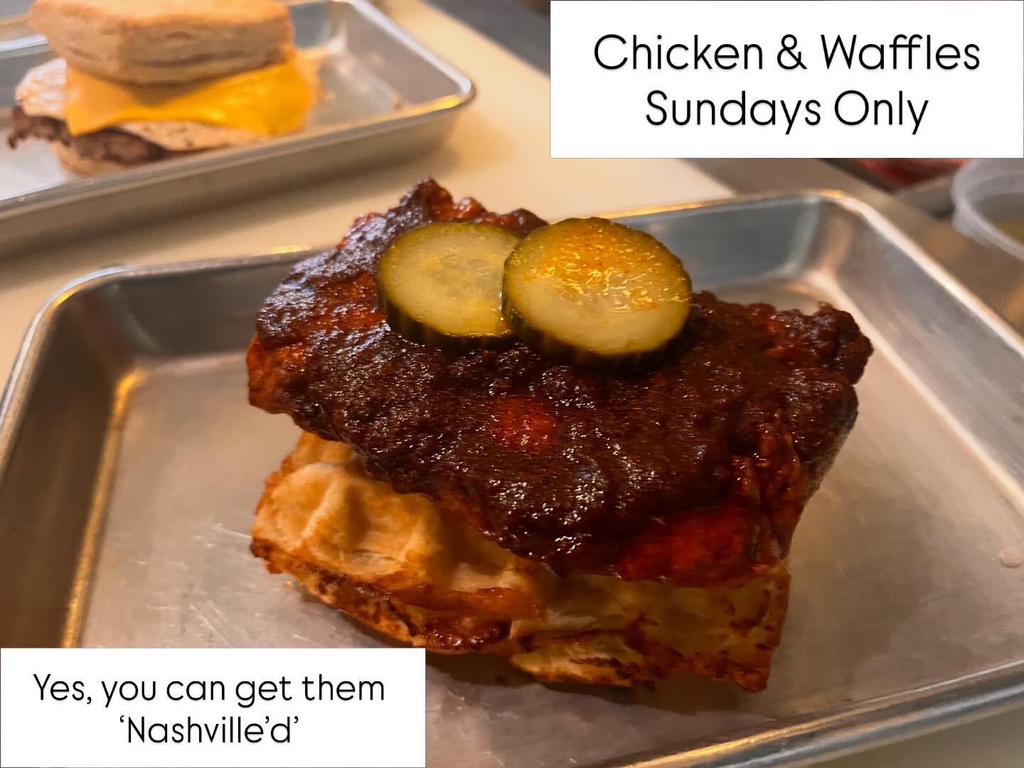 Squared Biscuit Co. Image