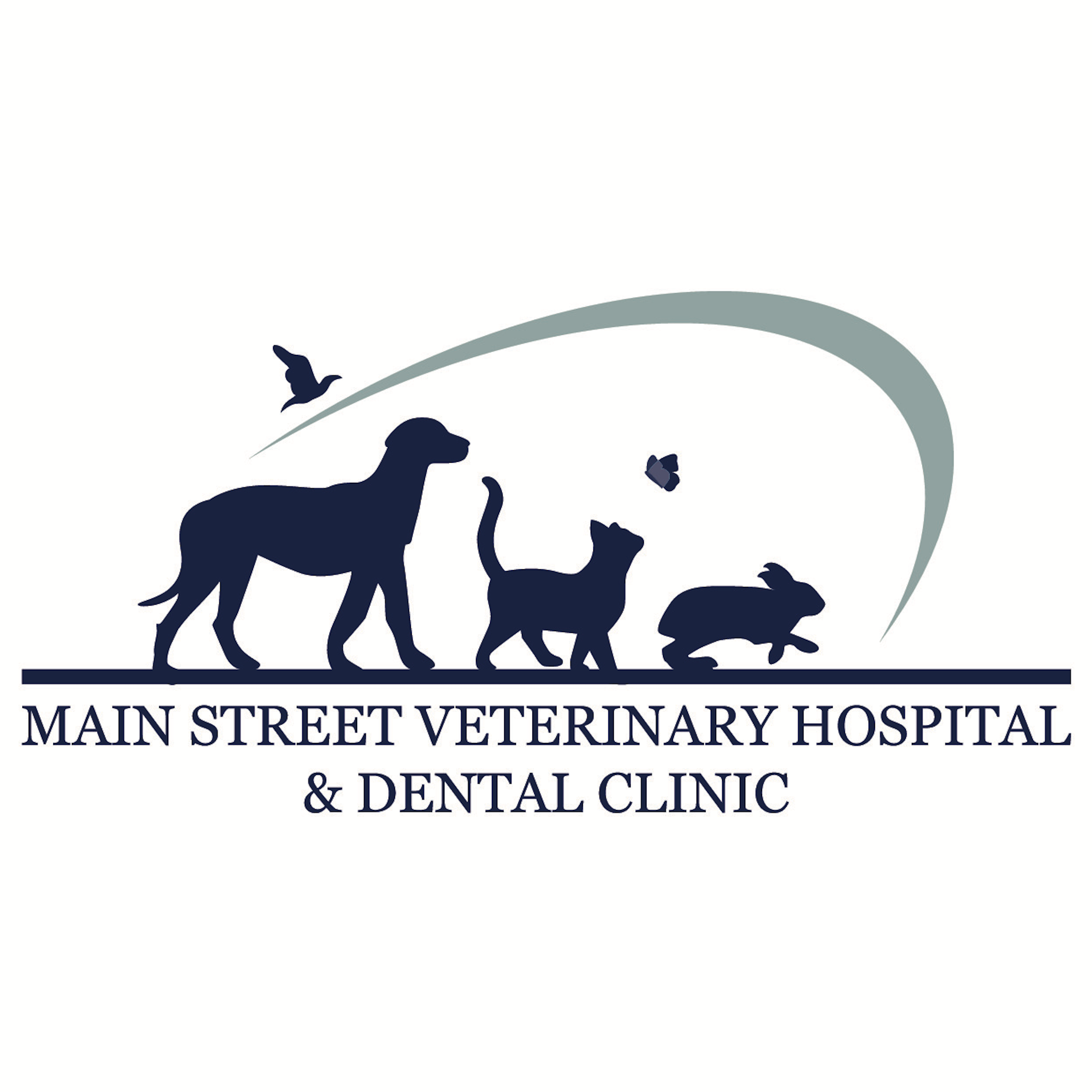 Main Street Veterinary Hospital, 4100 Kirkpatrick Ln, Flower Mound, TX, Veterinarians - MapQuest Main Street Veterinary Hospital, 4100 Kirkpatrick Ln, Flower Mound, TX, Veterinarians - MapQuest