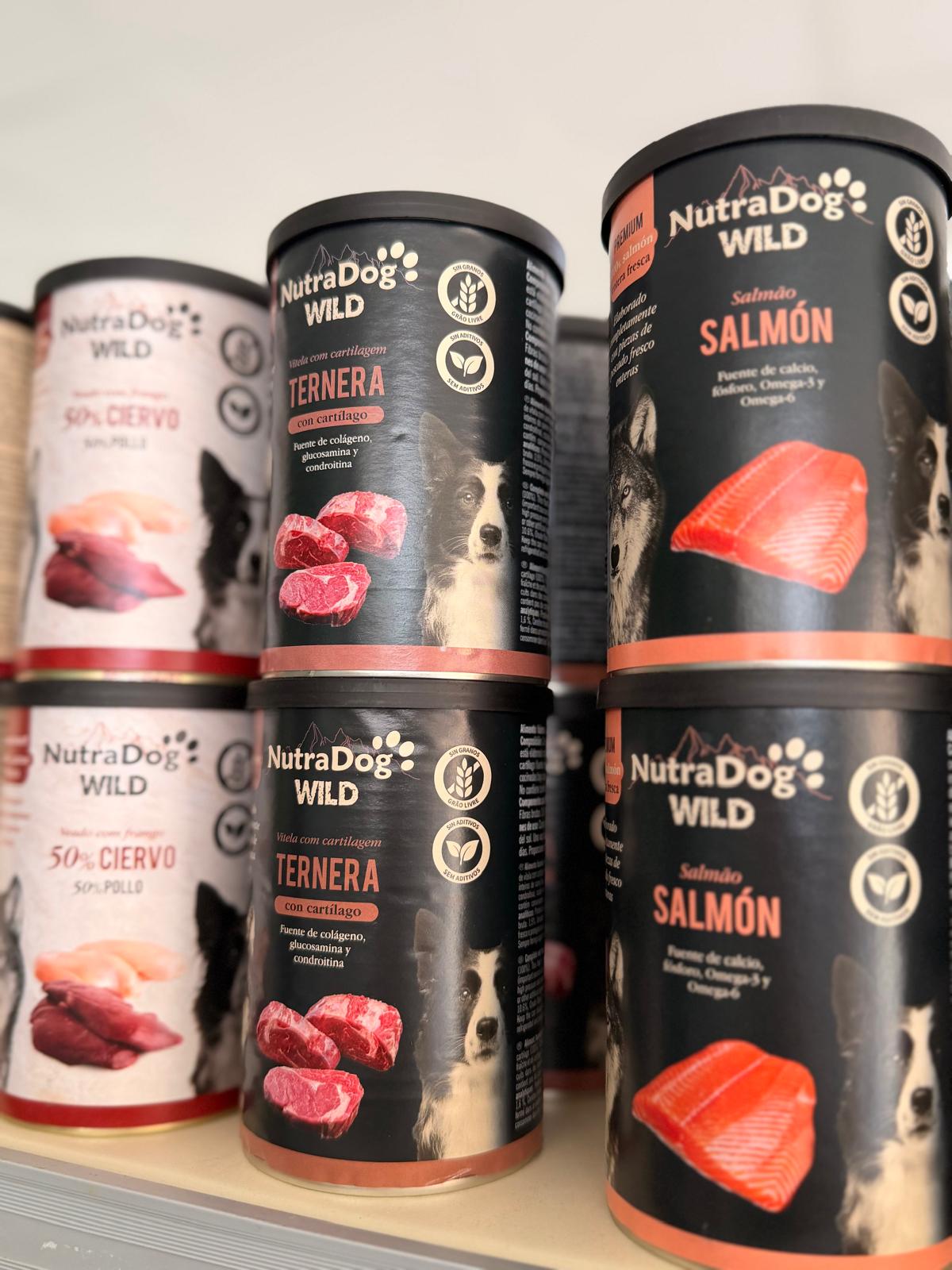 Images Mascotas Tindaya