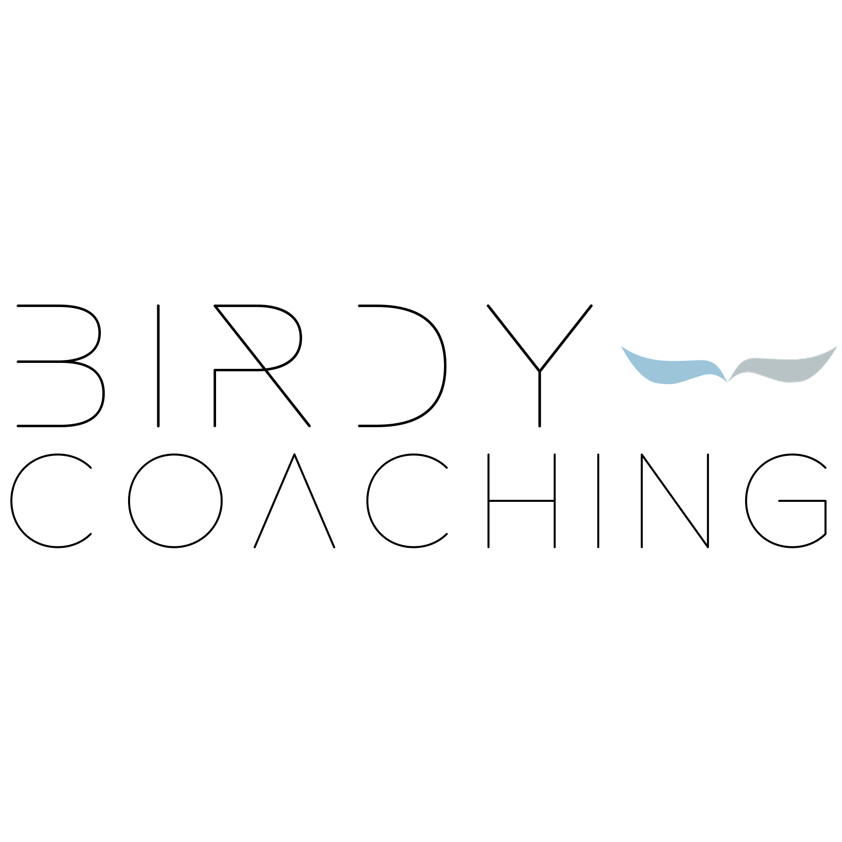 BIRDYCOACHING