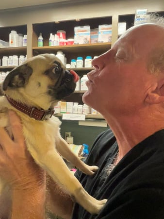 Images Adobe Animal Hospital