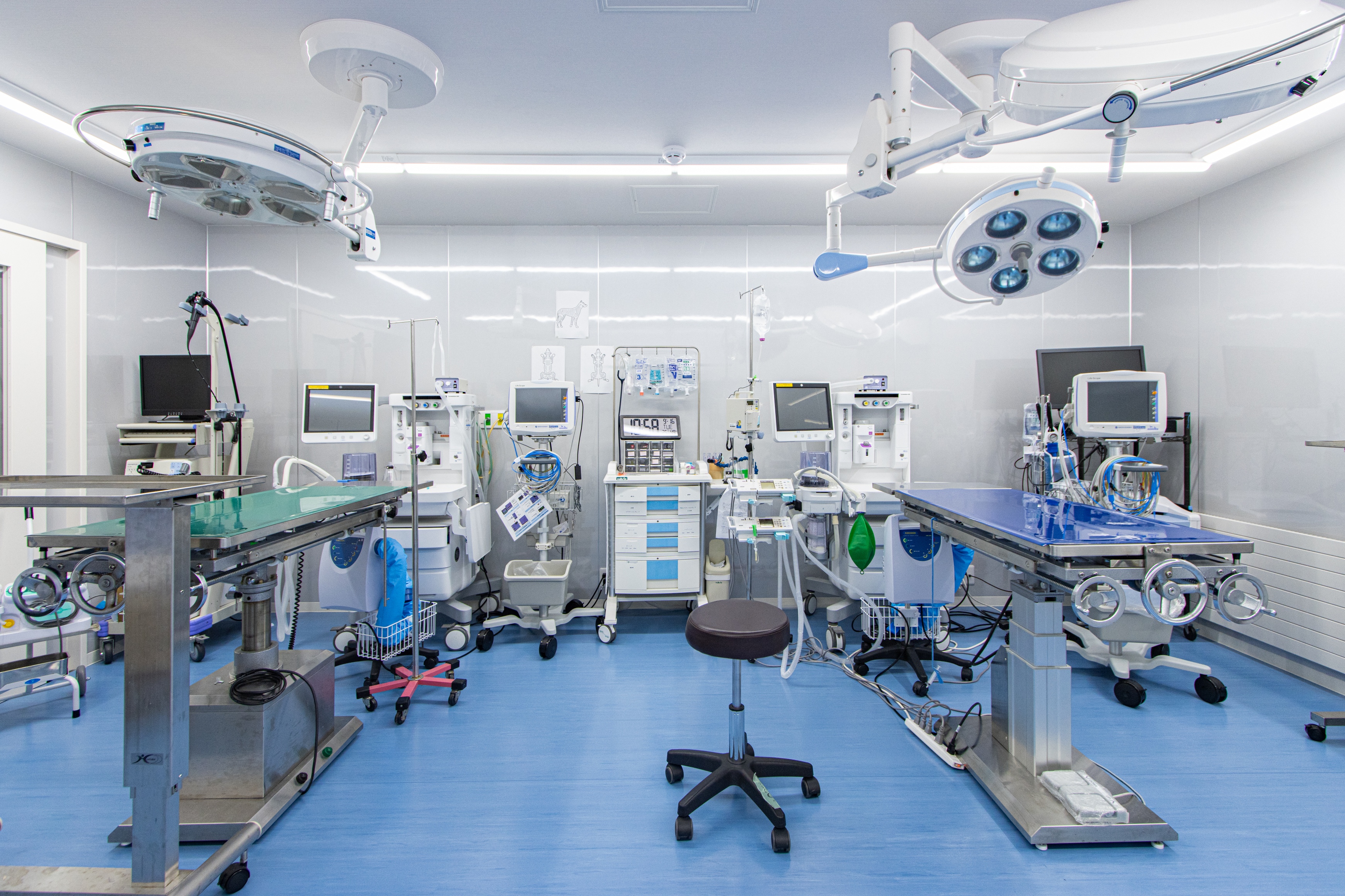 Images アイリス動物医療センター