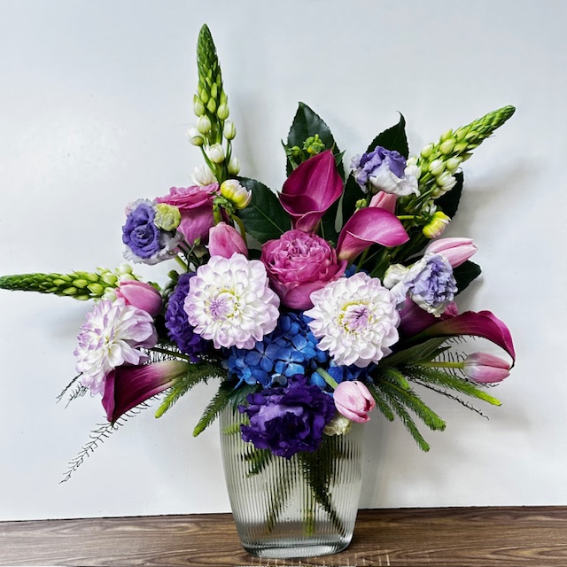 Images Jane's Roses & Flowers