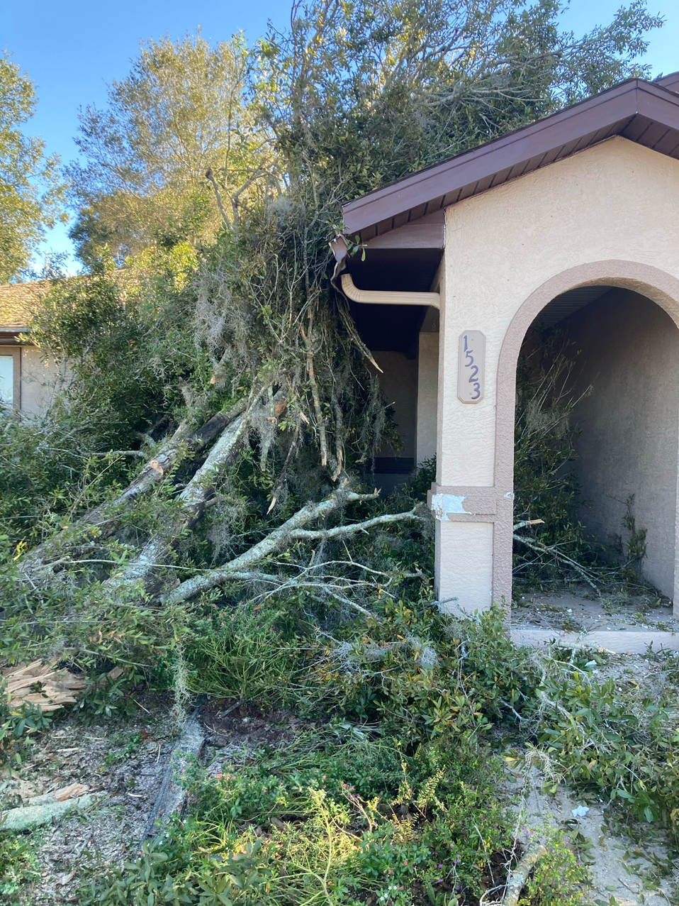 A-1 Allen's Tree Specialist