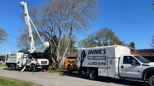 Images Jaime's Tree Service