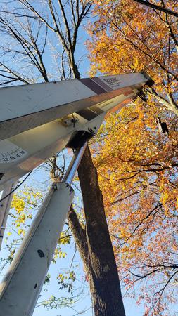 Images Bernie Tree Service Llc