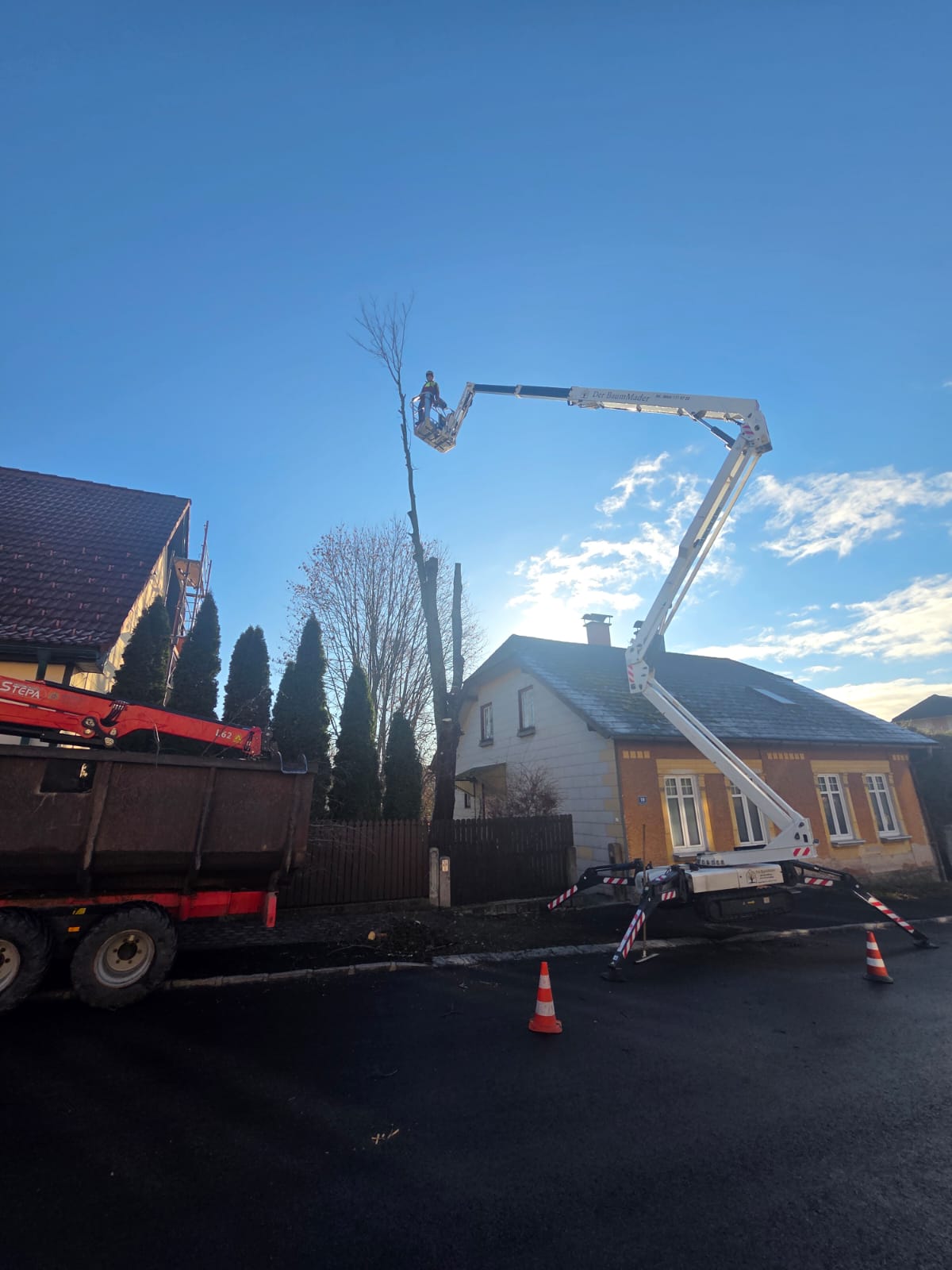 Bild 3 von Roman Mader Der Baummader