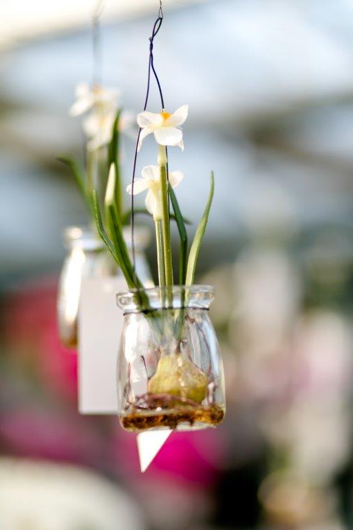 Gärtnerei und Floristik Tonja Plawky, Karolingerstraße 44 in Karlstadt