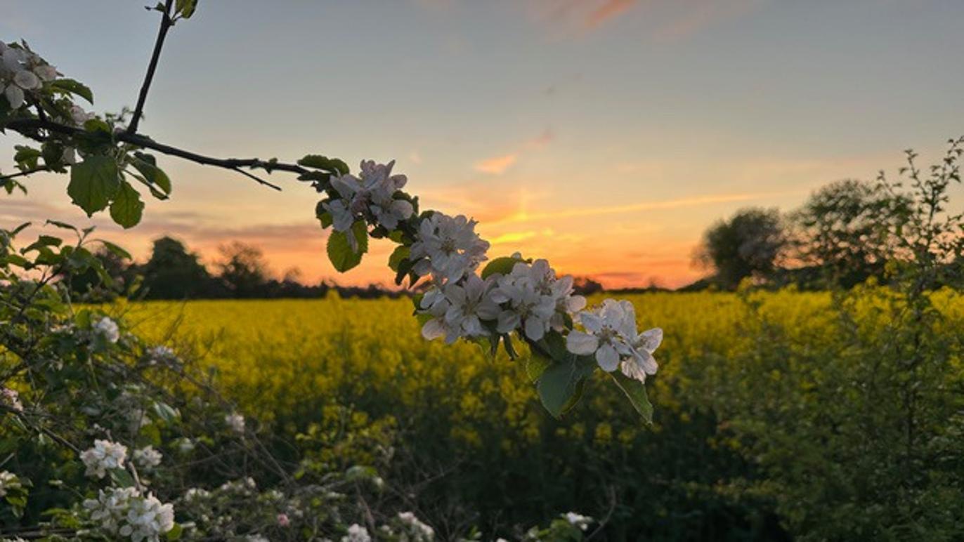 Images Nordisk Sjæl ApS