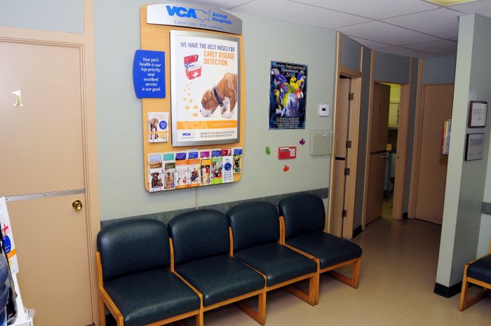 Images VCA Wilshire Animal Hospital
