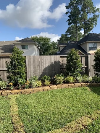 Images Pearce Scapes