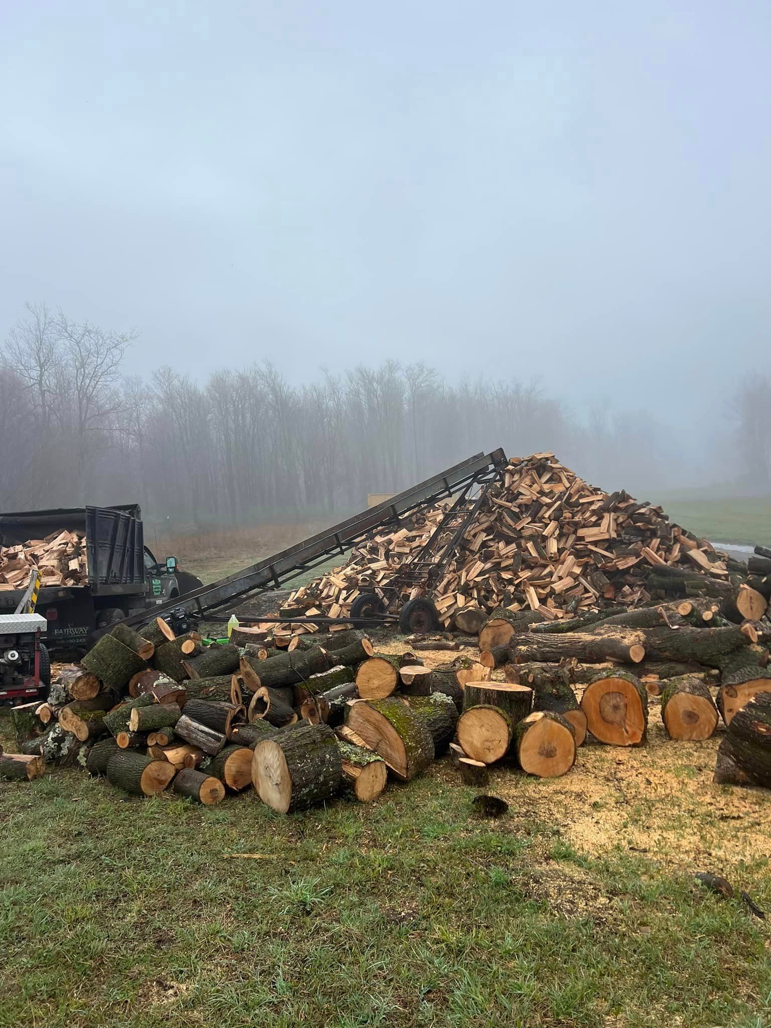 J & J Tree Services Image