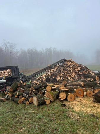Images J & J Tree Services