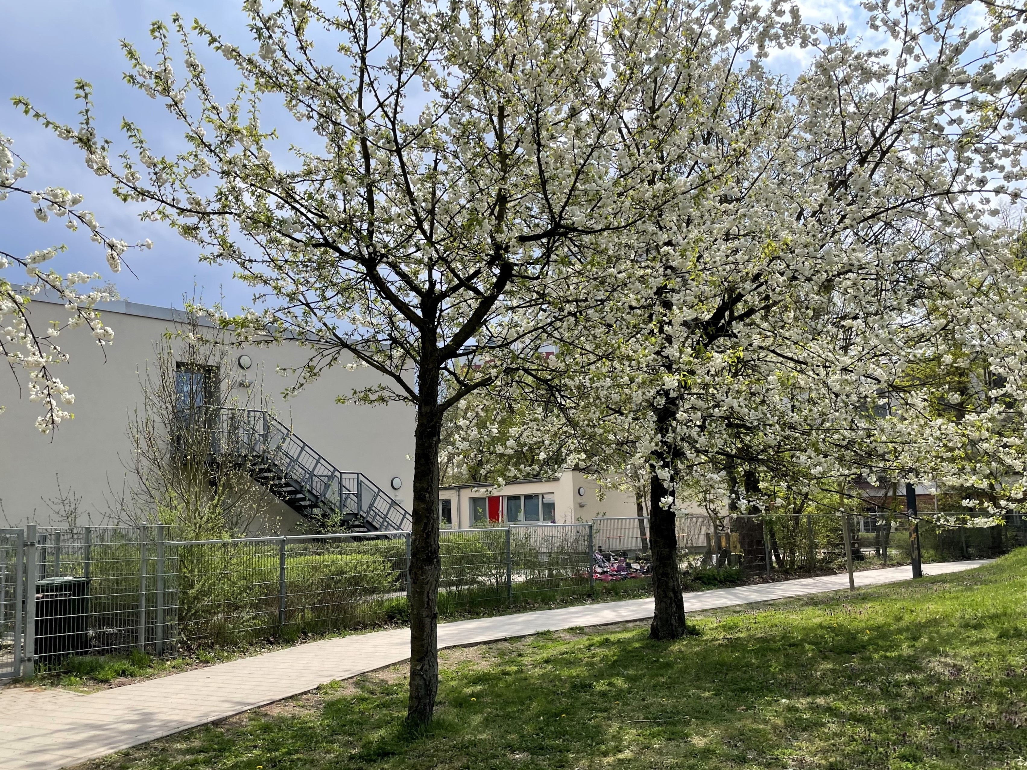 Fröbel-Kindergarten Sausewind in Potsdam - Logo