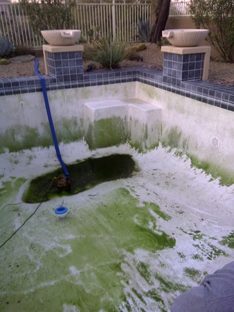 Images Poolguys Swimming Pool Service