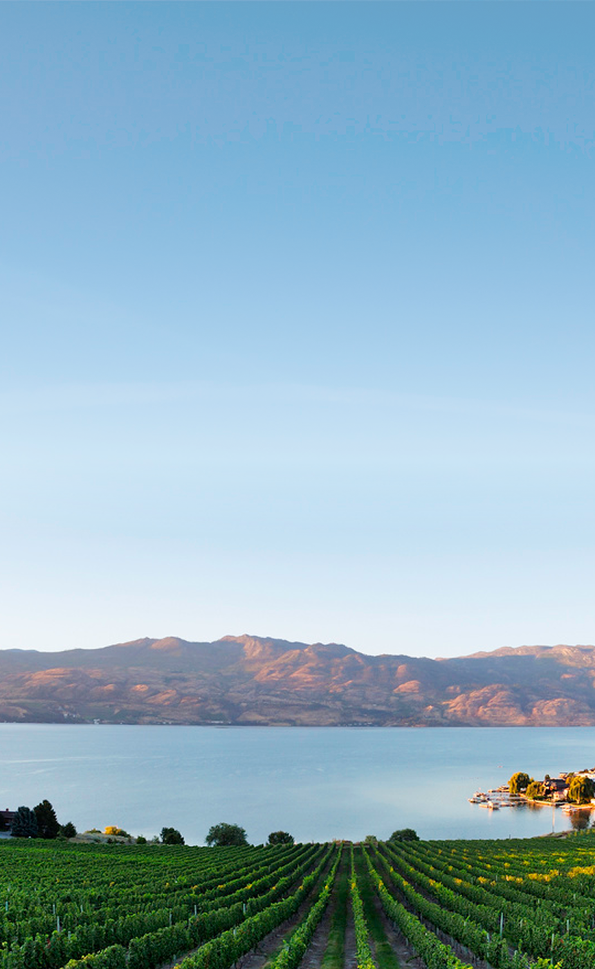 A winery in the Okanagan Valley.