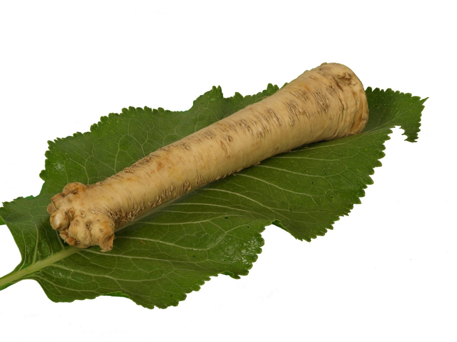 Images Artoner Fructcenter Kft.