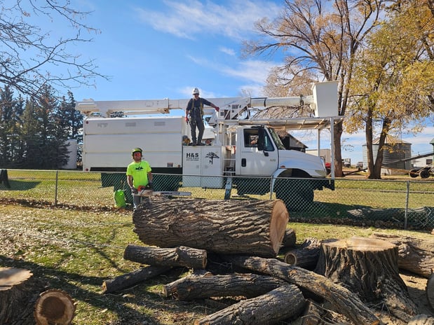 Images H & S Tree Care