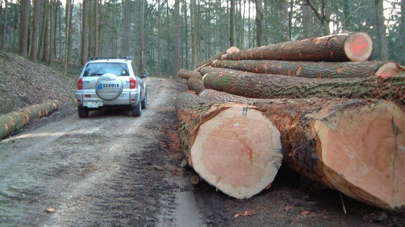 Sägerei Wildegg Schmid AG, Aarauerstrasse 19 in Wildegg