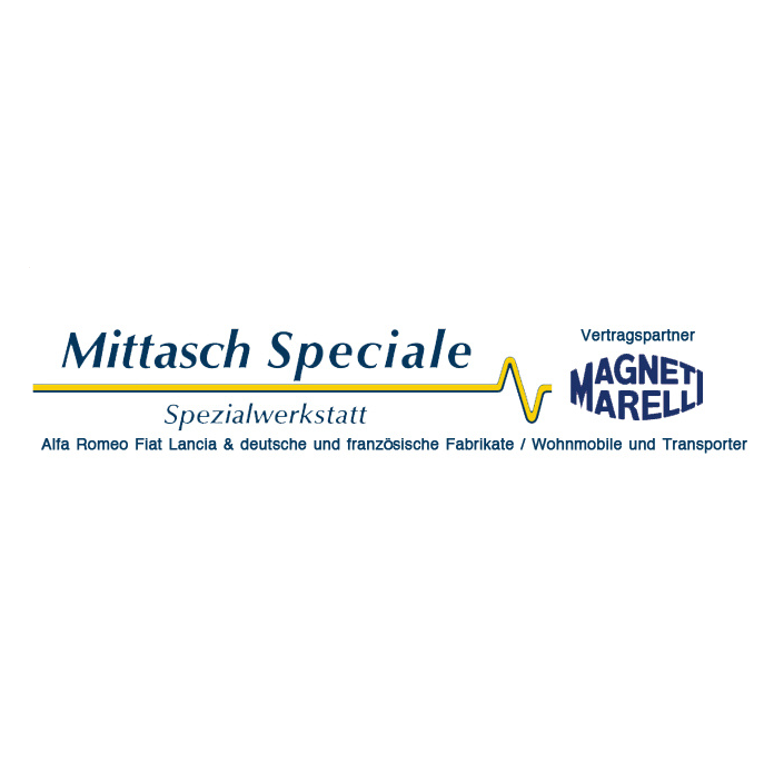 Logo Mittasch Speciale KFZ-Werkstatt