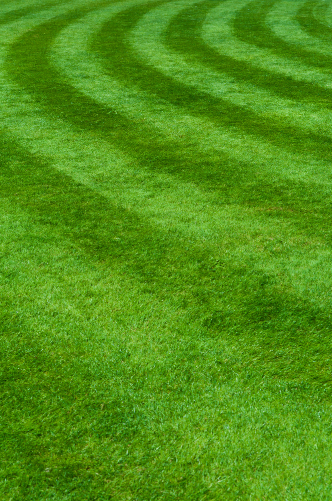 Town and Country Lawn Service