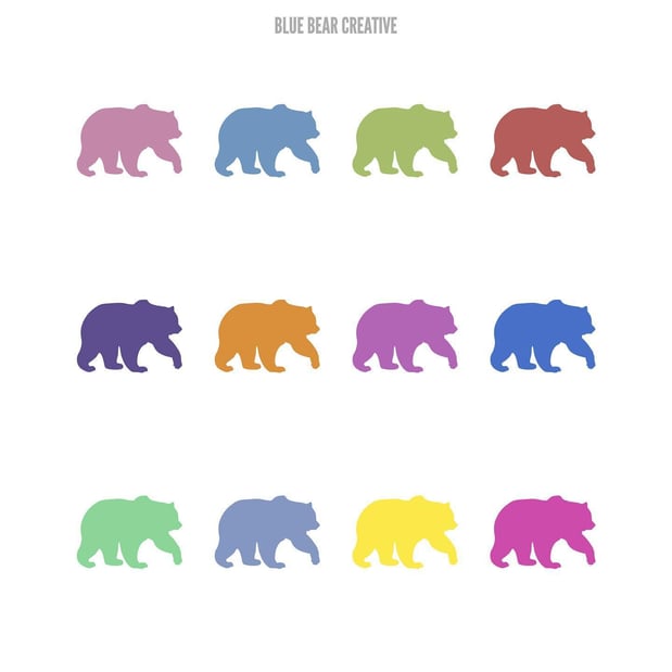 Images Blue Bear Creative - Social Media Agency Denver